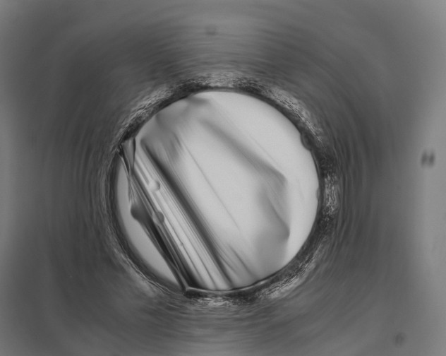 X0000097640589200803281125