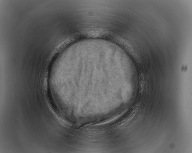 X0000097640590200803281125