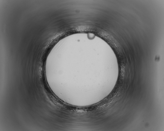 X0000097640592200803281125