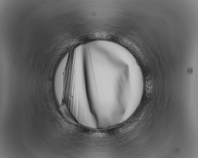 X0000097640593200803281125