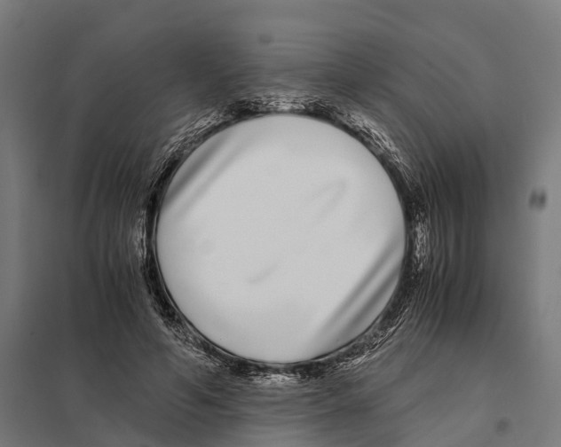 X0000097640594200803281125