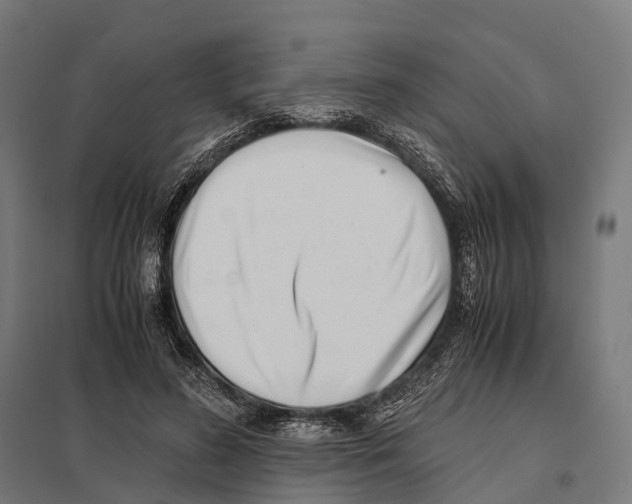 X0000097640596200803281125