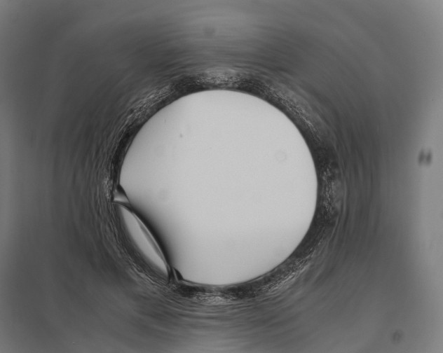 X0000097640597200803281125