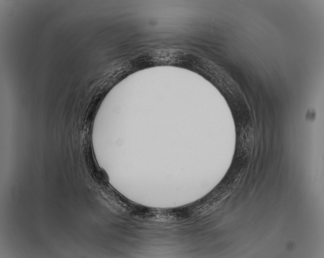 X0000097640601200803281125