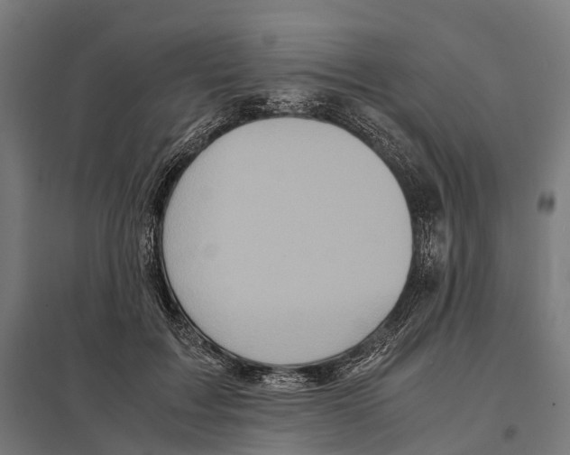 X0000097640603200803281125