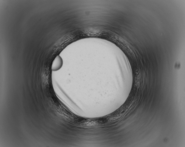 X0000097640604200803281125