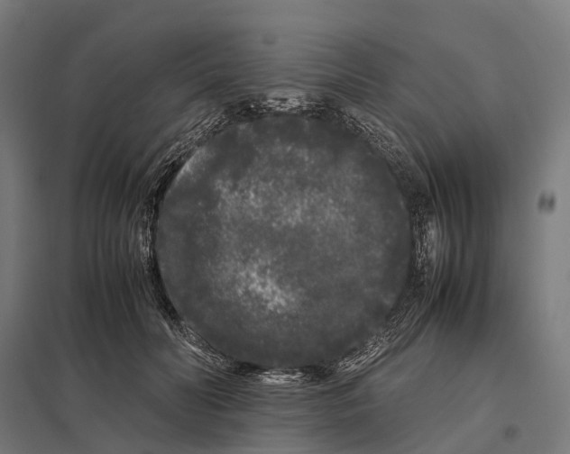 X0000097640606200803281125