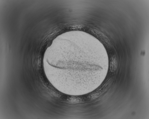 X0000097640608200803281125