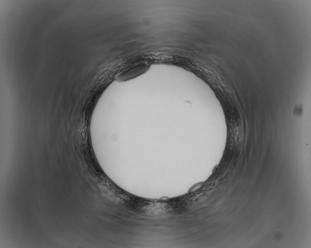 X0000097640609200803281125