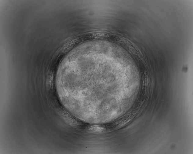 X0000097640610200803281125