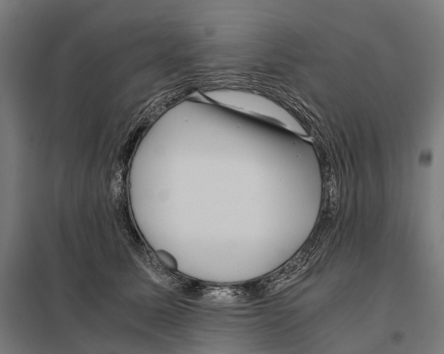 X0000097640611200803281124