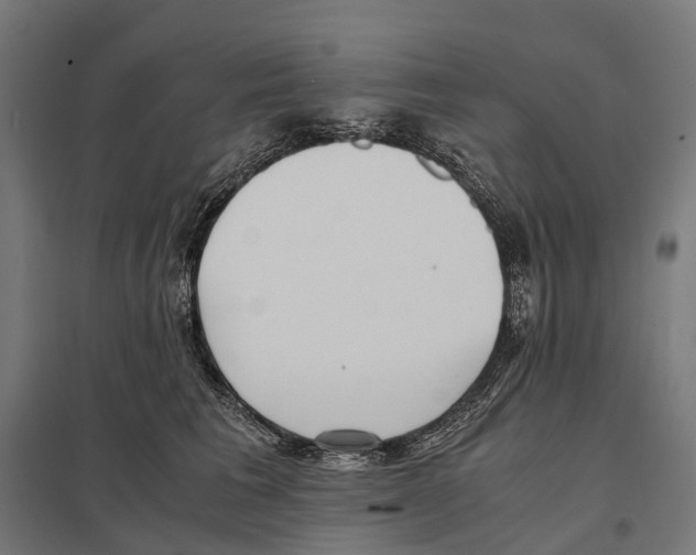 X0000097640613200803281124