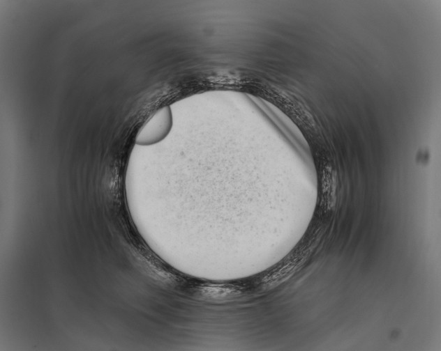 X0000097640614200803281124