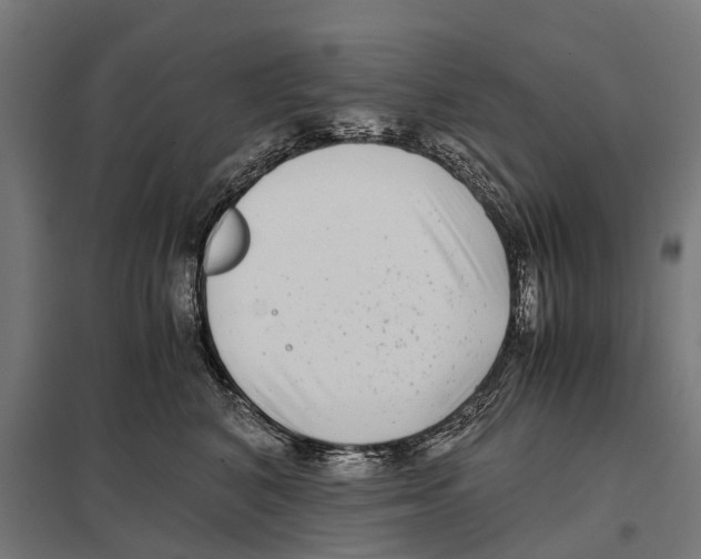 X0000097640616200803281124