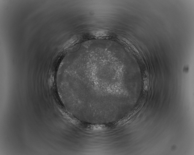 X0000097640618200803281124