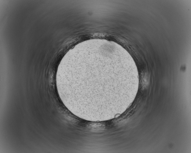 X0000097640619200803281124