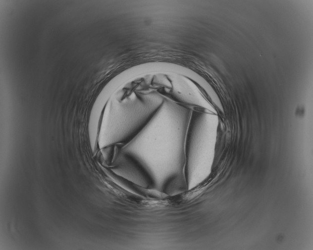 X0000097640621200803281124