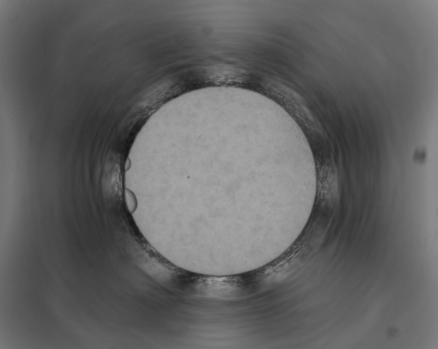 X0000097640622200803281124