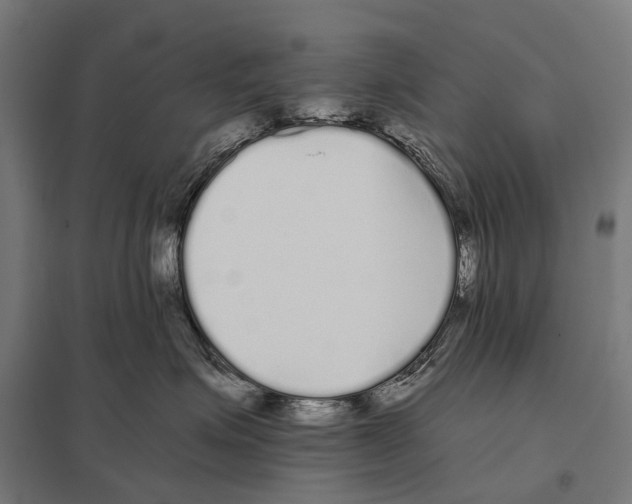 X0000097640623200803281124