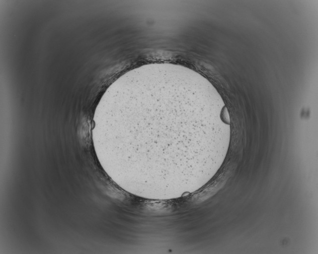 X0000097640624200803281124