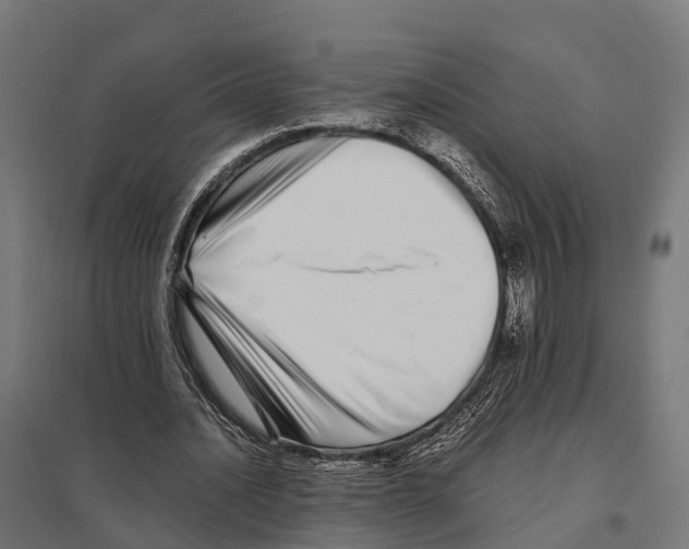 X0000097640628200803281124