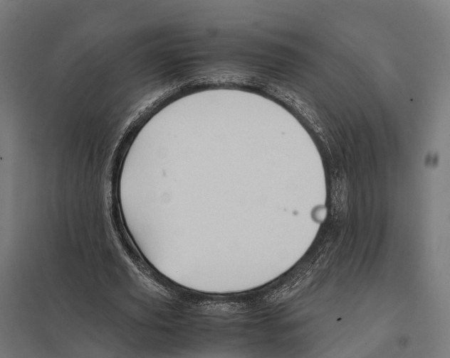 X0000097640629200803281124