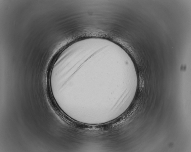 X0000097640630200803281124