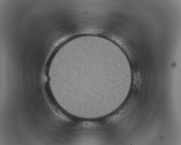 X0000097640632200803281124