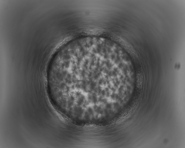 X0000097640634200803281124