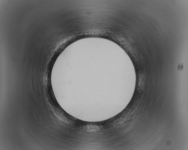 X0000097640636200803281124