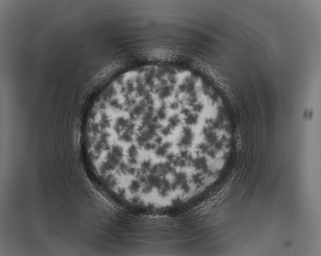 X0000097640637200803281124
