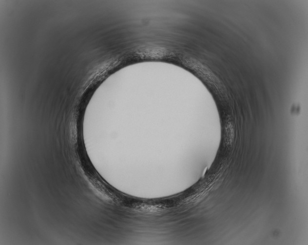 X0000097640638200803281124