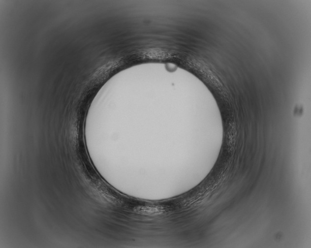 X0000097640639200803281124