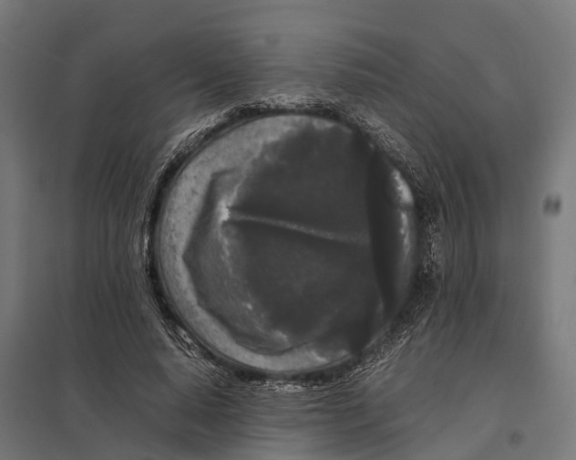 X0000097640640200803281124