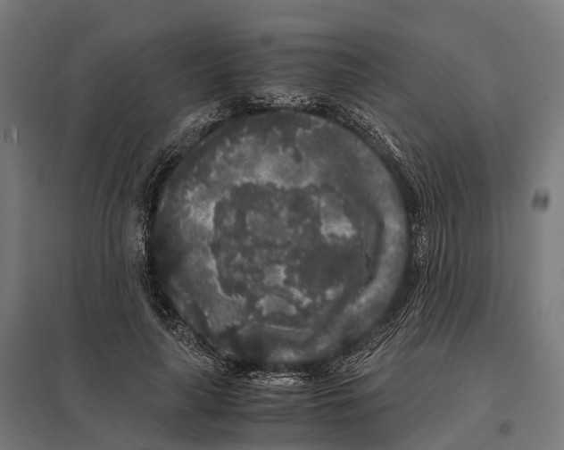 X0000097640643200803281124