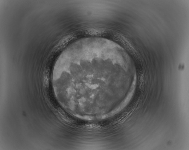 X0000097640644200803281124