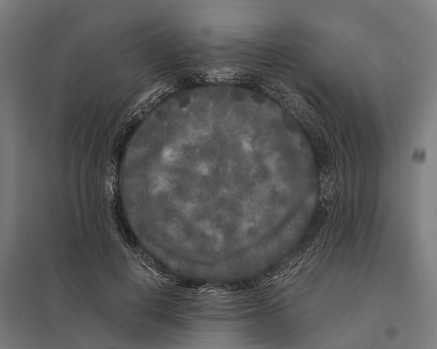 X0000097640648200803281124