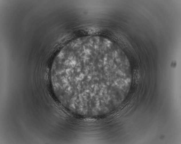 X0000097640650200803281124