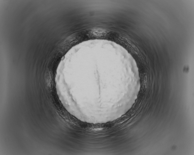 X0000097640651200803281124