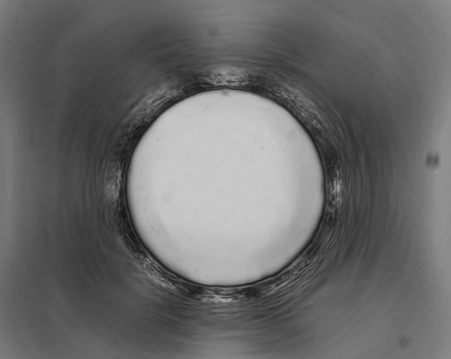 X0000097640652200803281124