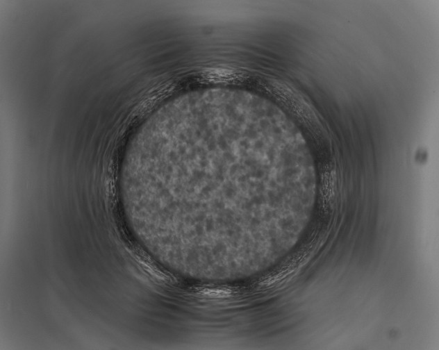 X0000097640653200803281124