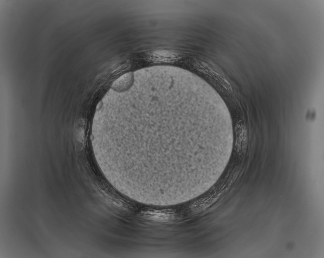 X0000097640655200803281124