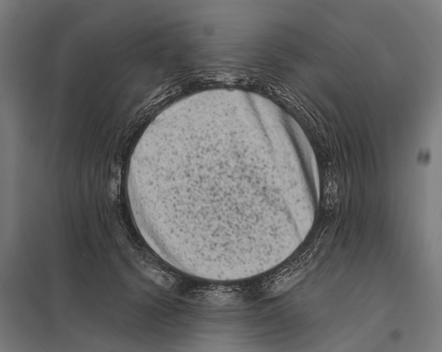 X0000097640656200803281124