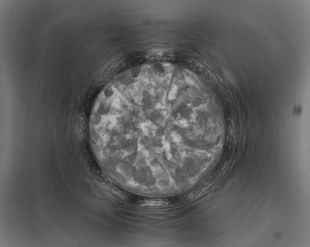 X0000097640659200803281124