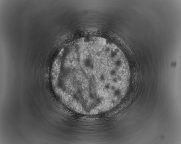 X0000097640661200803281124