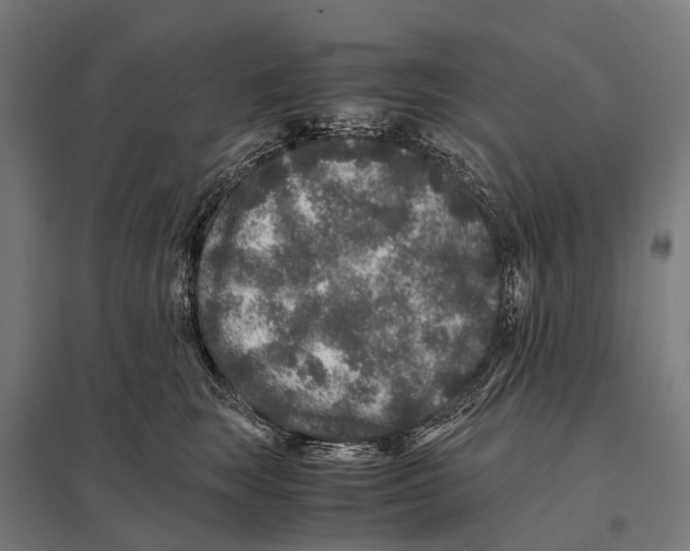 X0000097640663200803281124