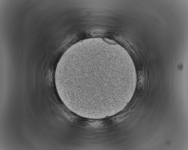 X0000097640667200803281124