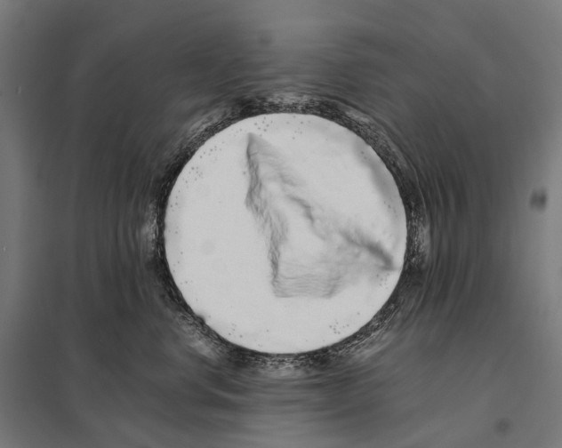 X0000097640668200803281124