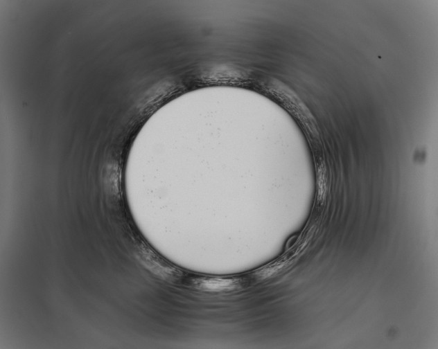 X0000097640669200803281124