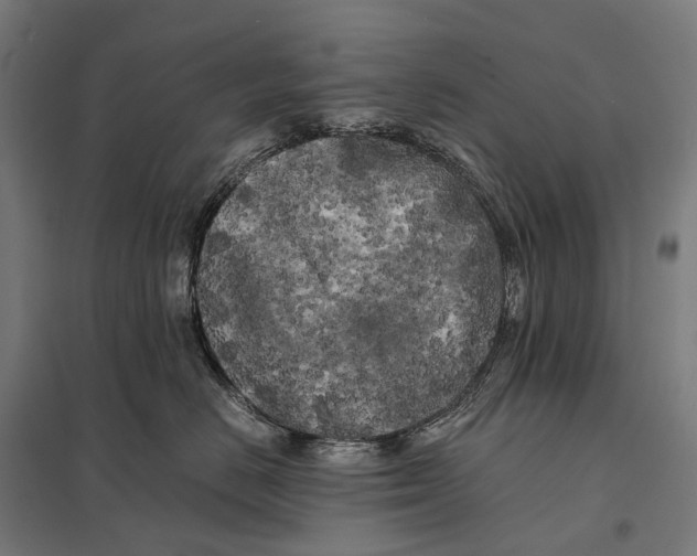 X0000097640670200803281124